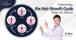 the Hair Growth Cycle: