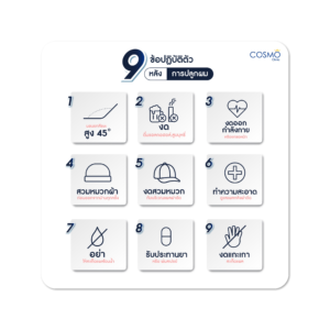 หลังแลูกผม