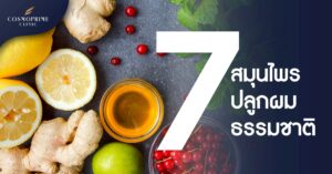 สมุนไพรปลูกผม