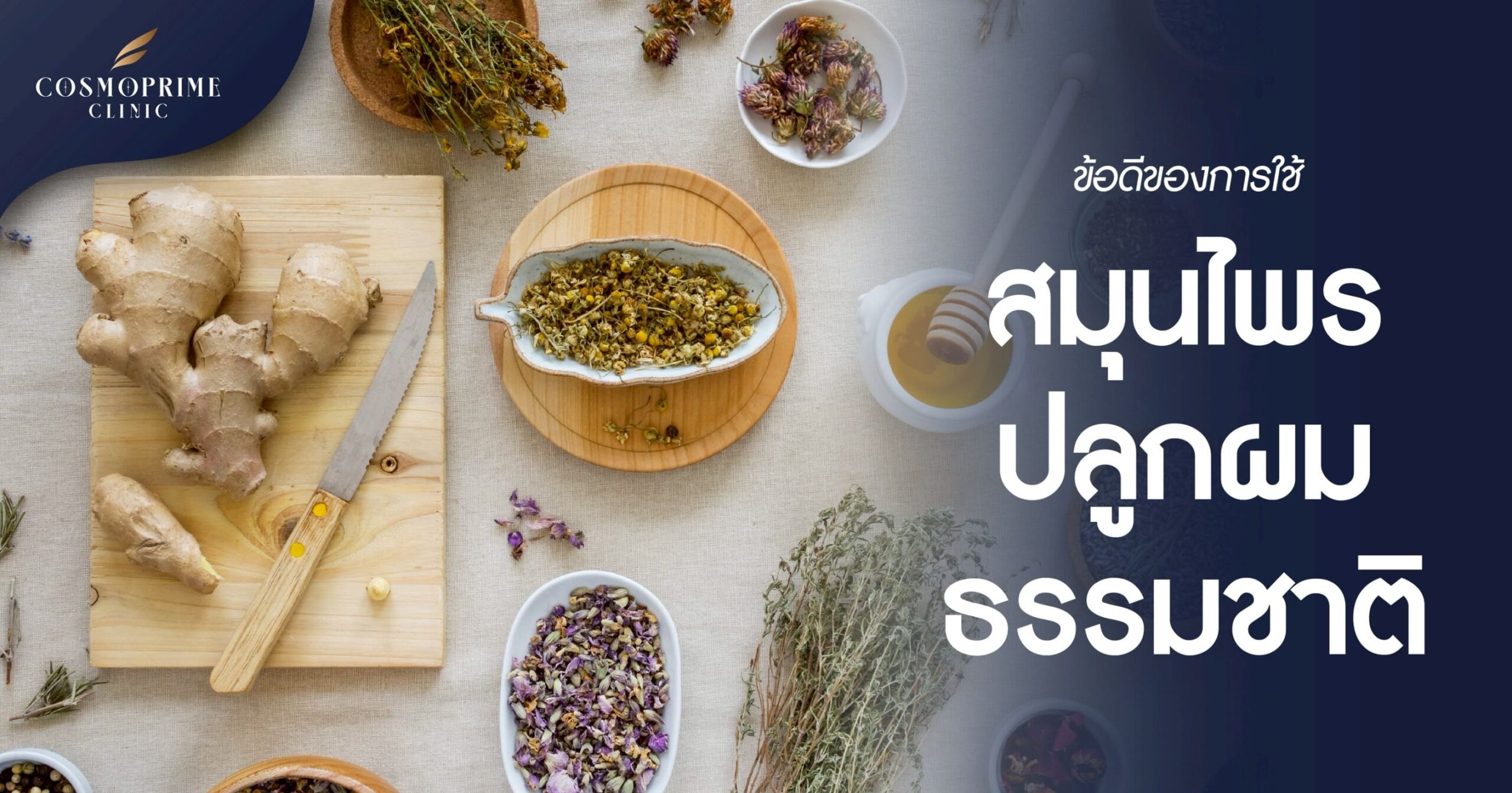 ข้อดีของการใช้ สมุนไพรปลูกผม ธรรมชาติ