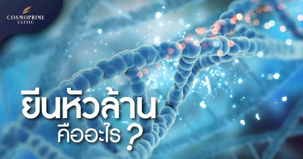 ยีนหัวล้าน คืออะไร?