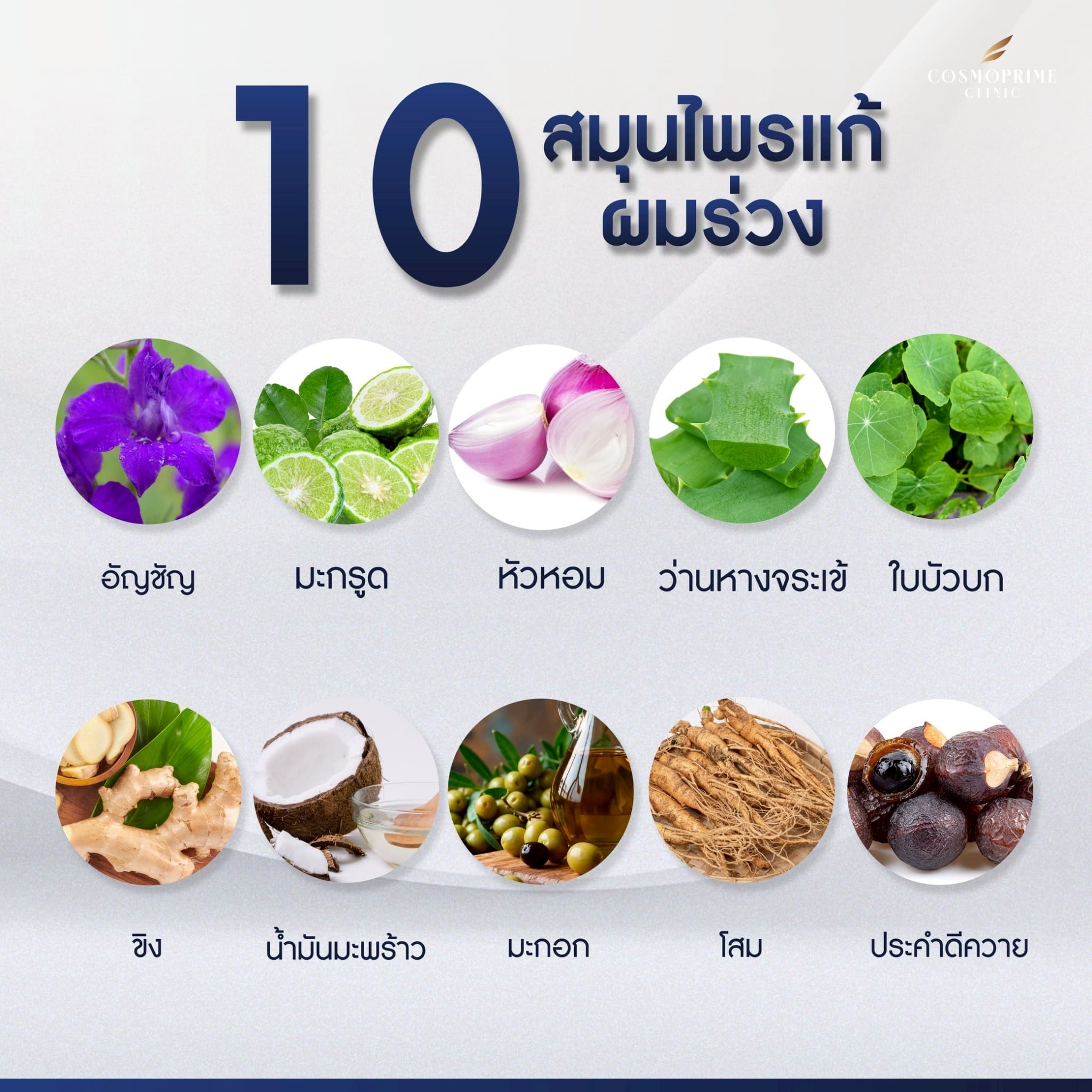 10 สมุนไพรแก้ผมร่วง