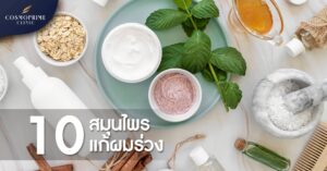 สมุนไพรแก้ผมร่วง