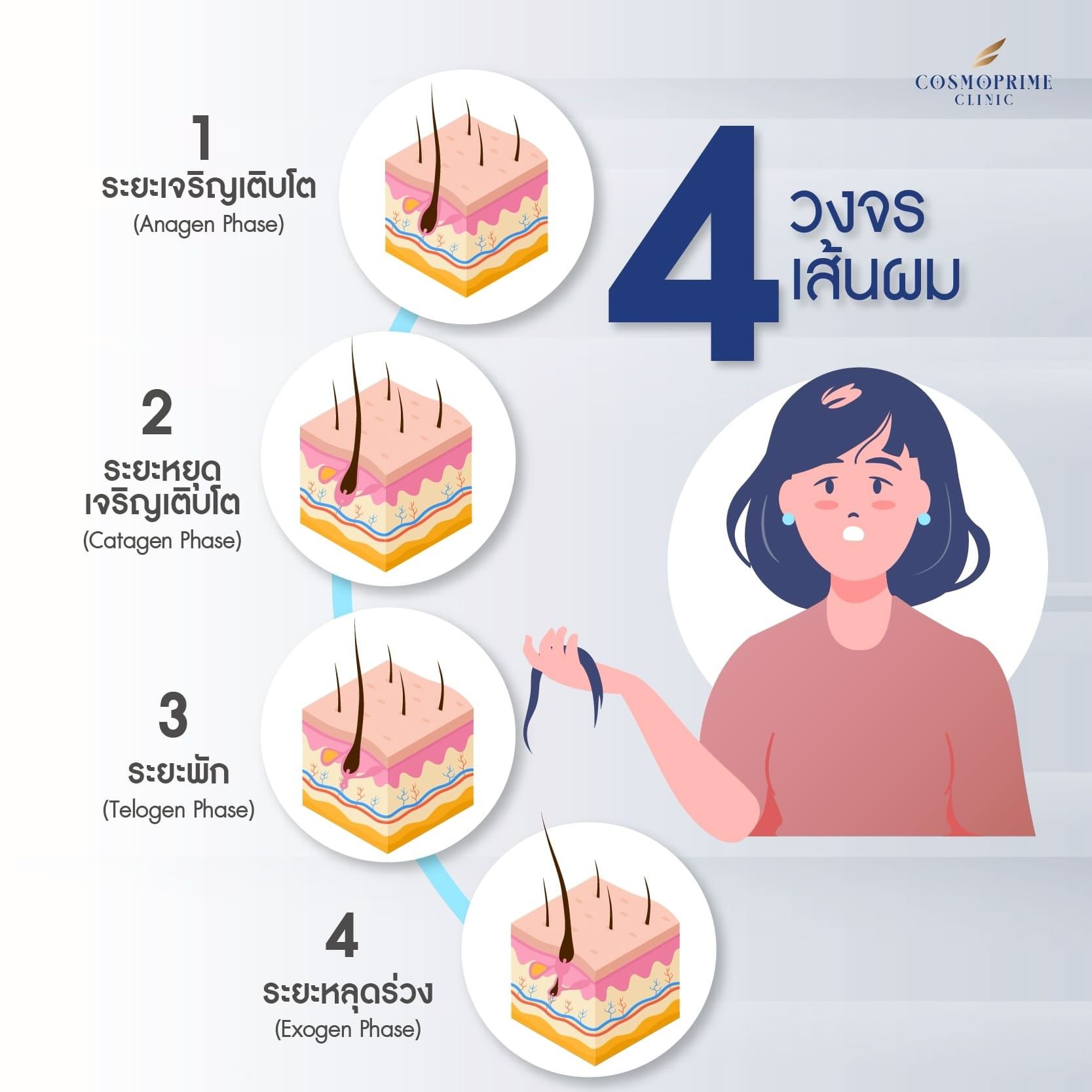 4 เฟสวงจรผม